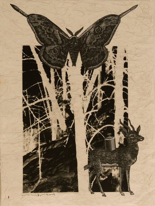 Düş Çizimleri (2009) Düş Çizimleri10-53x42