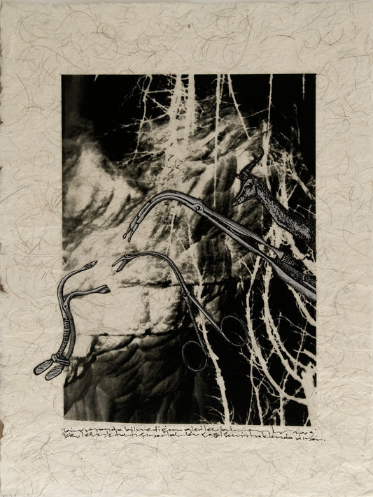 Düş Çizimleri (2009) Düş Çizimleri15-53x42
